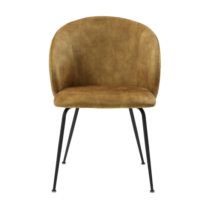 Cosimo Side Chair