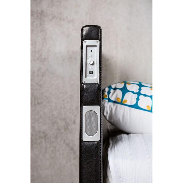 Evans Bed Espresso & Pink