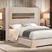 Danvers Bed - La Popular Furniture (CA)